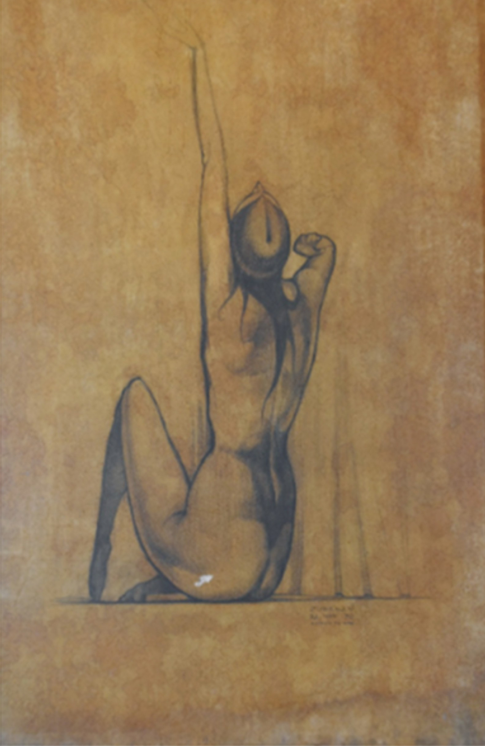alba desenho 1970 48x110.jpg